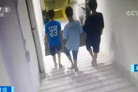 窃贼戴“人皮面具”作案，面具上连青筋都有！最终难逃法网图片