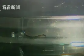 韩国多地自来水出现蠕动幼虫 总理下令紧急排查全国净水厂图片