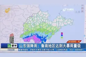 强降雨在山东上线，鲁南地区达大暴雨量级，最大降水点出现在鱼台