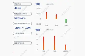 下滑！吉林化纤：2020年半年度净利润约-8142万元，同比下降215.07%图片