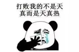 夏天太热不想暴晒！防城港这些免费展馆等你来打卡！图片