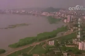 98年洪水中抱树9小时被救的小女孩，如今去抗洪了图片