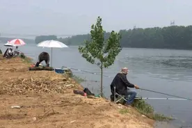 夏季钓鱼钓深还是钓浅？今天给你解决了图片