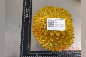 华商好奇心丨榴莲染色？果皮确实含有染色剂“姜黄素”图片