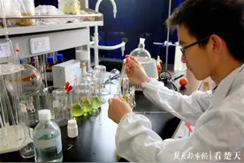 2020中国民办大学一流专业排名出炉，武汉华夏理工学院多专业荣膺中国“六星级专业”图片