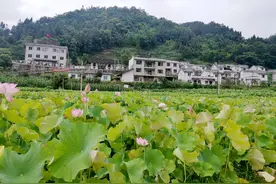 行走在田坝上的致富引路人记古蔺县无党派人士丁勇图片