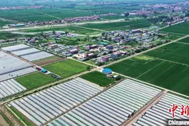 探访江苏沭阳蔷薇村：“软弱涣散”村蝶变“网红”小康村图片