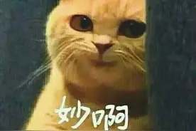 游泳是夏天最好的运动，但这些常识你真的知道吗？图片