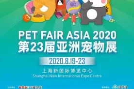 宠物界的盛会！萌宠走秀、猫咪选美、狗狗运动会…2020亚洲宠物展亮点抢先看图片
