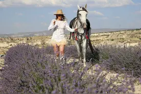 土耳其浪漫薰衣草花田 美女拍摄大片超唯美图片