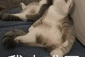 「重磅福利」电子乘车卡免费领！手机一靠就乘车，畅行多城图片