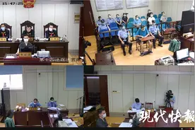 从越南走私半吨象牙回国贩卖，男子获刑11年6个月图片