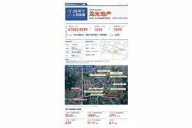 五象土拍继续火！龙光、旭辉＆大唐、蓝光再拿地图片