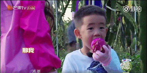 我惊了！这年头火龙果、菠菜还能染发？