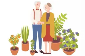 日照2020年调整退休人员基本养老金发放到位，22.77万人受惠图片