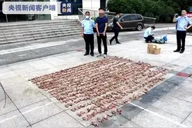 无锡一男子借助热成像仪和弹弓非法捕获斑鸠1000余只 已被刑拘图片