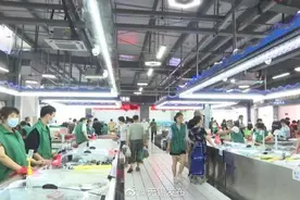 我们熟悉的“朝阳菜场”大变样啦图片