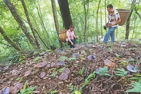 产业多元发展，城乡齐头并进——桂林市城乡协调推进全面建成小康社会步伐扫描图片