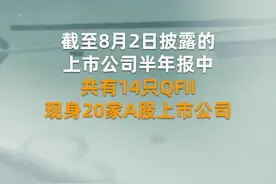 外资QFII现身内地20股 来看最新持仓变化视频封面