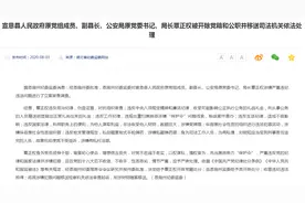 私藏弹药，纵容涉黑组织，湖北一公安局局长被开除党籍和公职图片