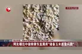 禁带手机进粮库  中储粮“解决问题”了吗？视频封面