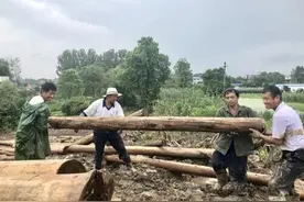 县委书记八日抗洪记图片