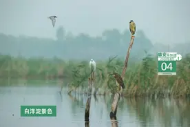 雄安早知道（2020年8月4日）图片