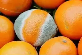 水果发霉，切掉坏的再吃？图片