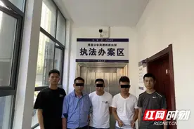 “路霸王”落网！澧县公安机关打掉一涉嫌强迫交易的涉恶犯罪团伙图片