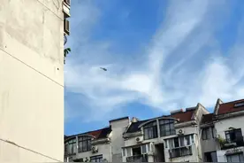 时不时被直升机声“轰炸”1小时！上海浦东多小区2个月来已投诉近80次图片