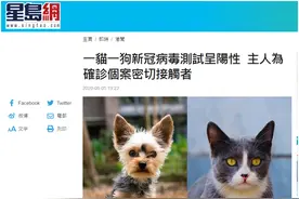 香港一猫一狗新冠病毒测试呈阳性，主人为确诊病例密切接触者图片
