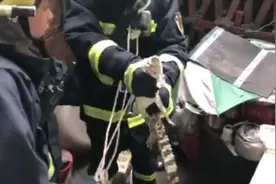 济南一小区惊现鳄鱼！要问抓鳄鱼哪家强，山东消防看济南图片