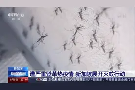 新加坡登革热确诊病例超2万例 新加坡开展为期2周灭蚊行动图片