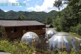 你笑起来真好看｜企业、农户、村集体三方合作办民宿变成网红打卡地图片