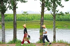 “河南版李子柒”：一对父女的“边城”故事图片