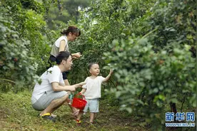 蓝莓园里度周末图片