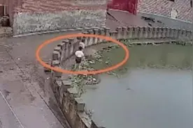 5岁妹妹不慎落水，8岁姐姐跳水施救！画面让人揪心图片