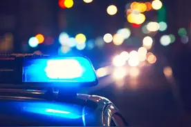 外逃归案人员讲述逃亡经历：听到警笛吓得筷子掉地图片