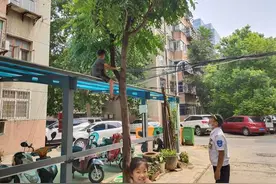 熊孩子爬车棚顶上下不来，吓得直哭图片