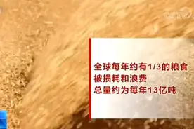 千万别浪费！多地倡议10人进餐只点9人菜，鼓励推出小份、半份菜图片