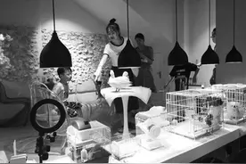 猫咖、狗咖、鸭咖……“云吸宠”成年轻人日常图片