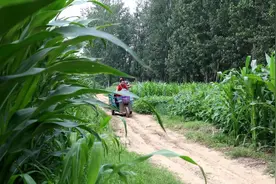 菏泽市定陶区：丈夫意外摔伤 妻子为爱坚守伴余生图片