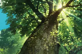 没空调也能嗖嗖嗖降温的好方法来了！亲测有效，欢迎选用图片