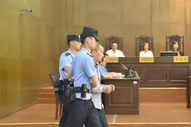 刚刚，杀害刘彦的凶手被执行死刑图片