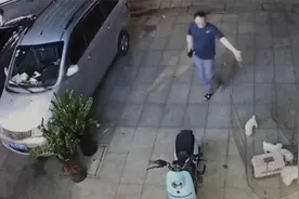 火腿肠藏药？宠物店两只泰迪幼犬疑被人投毒 视频拍下可怕一幕图片