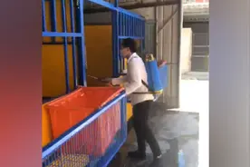 教练痛忆下海救人离世马匹：会游泳但没经训练，损失近20万视频封面