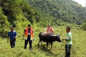 广西博白“一户一策”让未脱贫劳动力转移就业图片