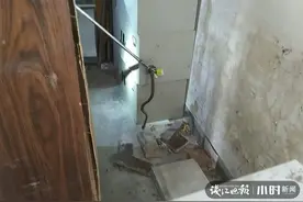 它直起身子，吐着信子，真紧张啊！台州临海消防员在居民家中与大蛇面对面图片