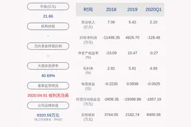 太化股份：2020年上半年净利润约241万元图片