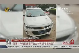 刚洗完车却听到一声巨响，淄博车主回头一看傻眼，车辆竟被砸稀烂视频封面